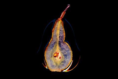 Winner: The Bimi Prize, Candied pear, Anne Mason-Hoerter